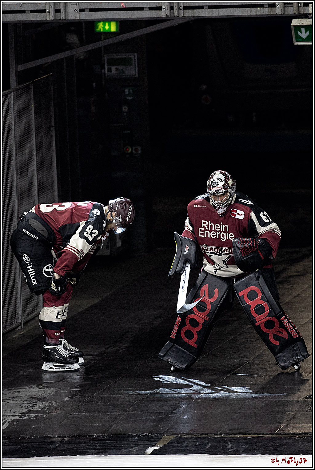 PENNY DEL;  Koelner Haie - Nuernberger Ice Tigers; Koeln, 25.03.2021